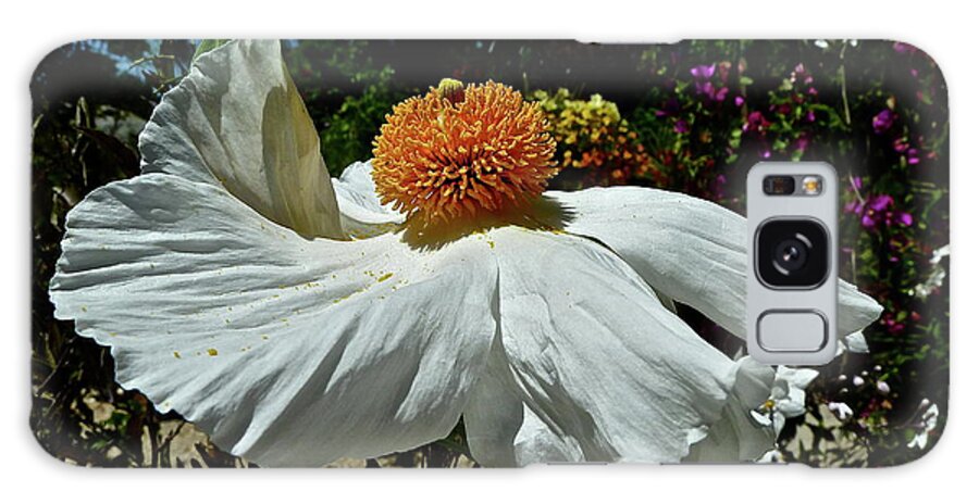 Flowers Galaxy Case featuring the photograph Matilija Poppy Two by Diana Hatcher
