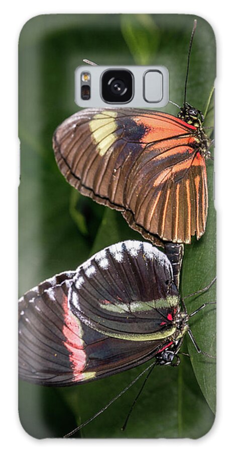Butterfly Galaxy Case featuring the photograph Mating Postman by Robert Culver
