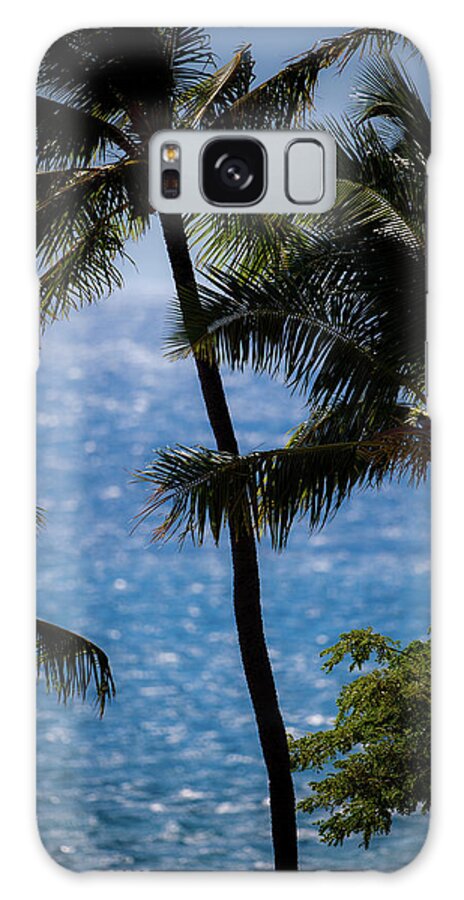 Nature Galaxy Case featuring the photograph Maui Palms by Jeff Phillippi
