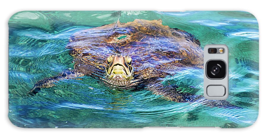 Maui Galaxy S8 Case featuring the photograph Maui Sea Turtle by Eddie Yerkish