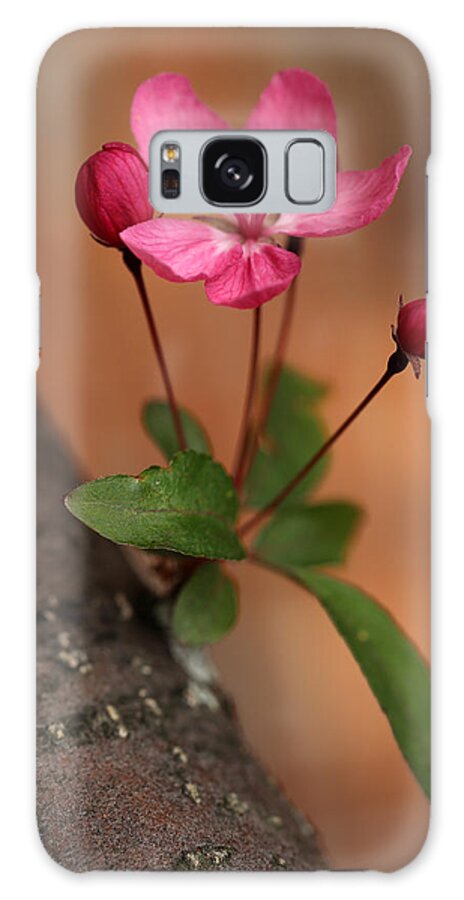 Crabapple Galaxy Case featuring the photograph Me and my Buds 2 by Mary Bedy
