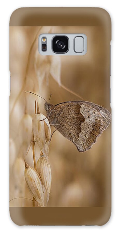 Nature Galaxy Case featuring the photograph Meadow Brown roosting by Wendy Cooper