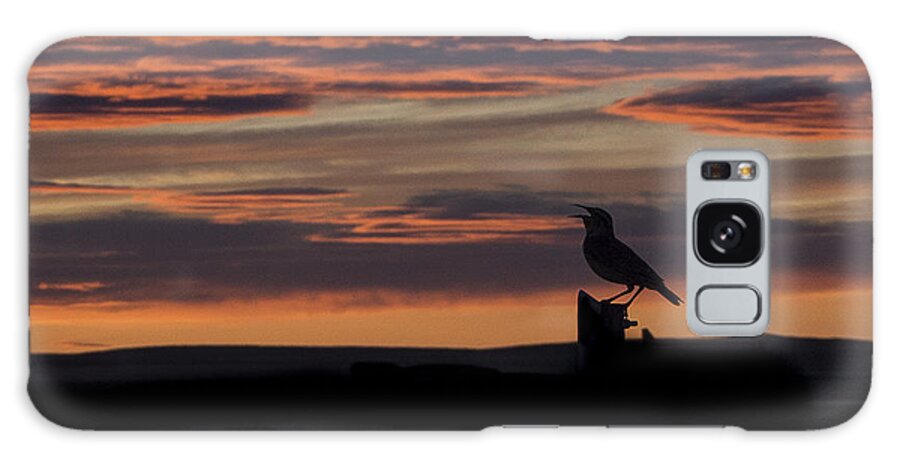 Benton Lake Nwr Galaxy S8 Case featuring the photograph Meadow Lark's Salute to the Sunset by Ian Johnson