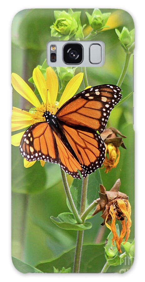 Monarch Butterfly Galaxy Case featuring the photograph Mighty Monarch  by Paula Guttilla