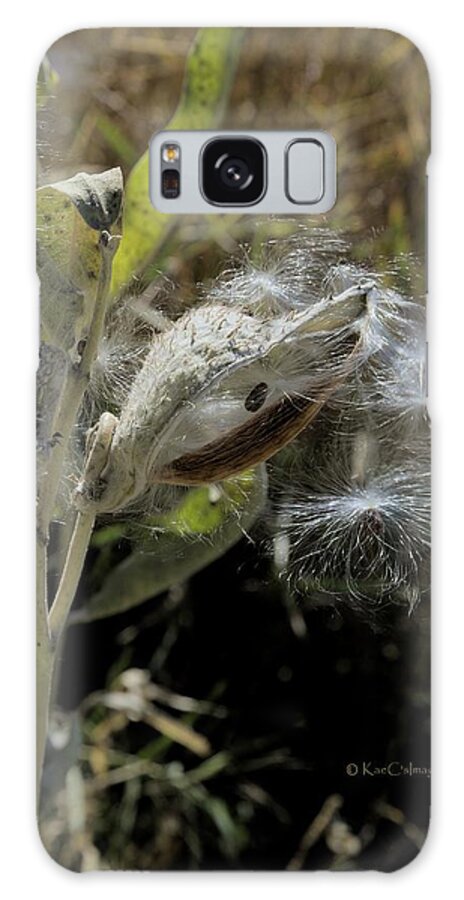 Wild Plant Galaxy Case featuring the photograph Milkweed Seeds Taking Flight #2 by Kae Cheatham