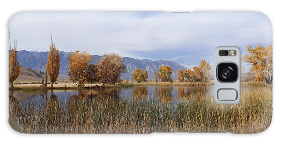 Water Galaxy S8 Case featuring the photograph Mill Pond by Tammy Pool