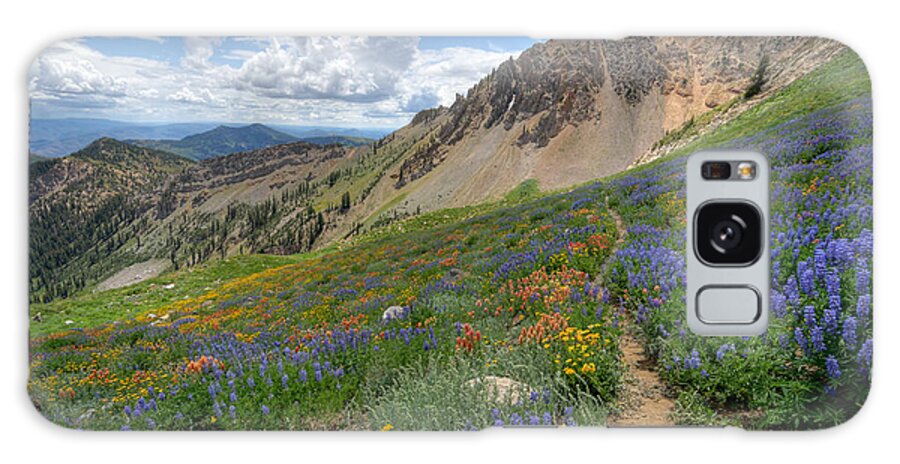 Wildflower Galaxy Case featuring the photograph Mineral Basin Wildflowers by Brett Pelletier
