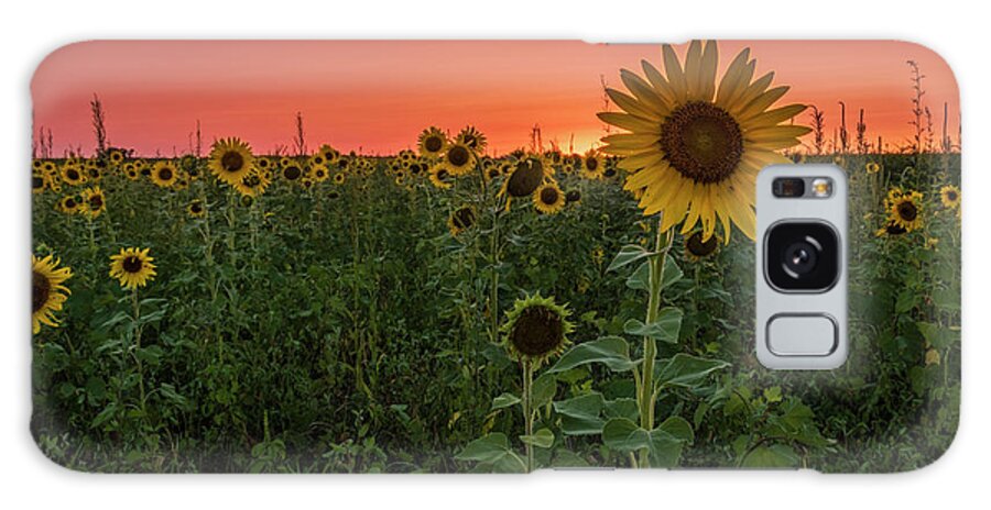 Sunset Galaxy Case featuring the photograph Missouri Sunset by Holly Ross