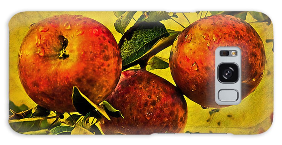 Apple Galaxy S8 Case featuring the photograph Mister's Apples by Anna Louise