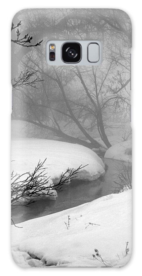 Landscape Galaxy Case featuring the photograph Misty Morning by Julie Lueders 