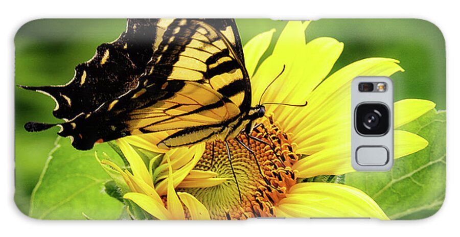 Eastern Tiger Swallowtail Butterfly Galaxy Case featuring the photograph Tiger Swallowtail and Sunflower by C Renee Martin
