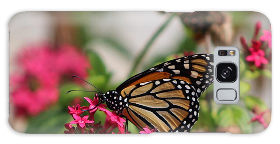 Monarch Butterfly Galaxy S8 Case featuring the photograph Monarch Butterfly on Fuchsia by Colleen Cornelius