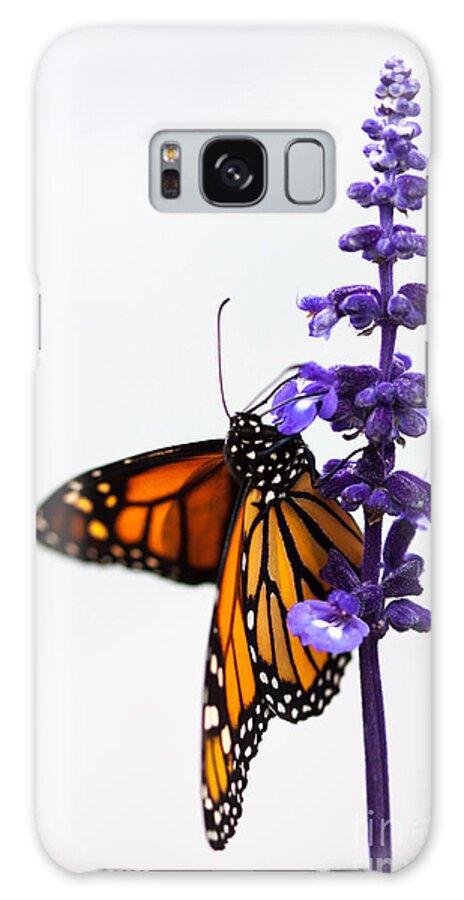 Monarch Butterfly Galaxy Case featuring the photograph Monarch Butterfly by Ana V Ramirez