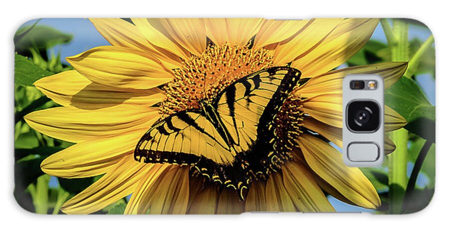 Male Eastern Tiger Swallowtail - Papilio Glaucus Galaxy Case featuring the photograph Male Eastern tiger swallowtail - Papilio glaucus and Sunflower by Louis Dallara