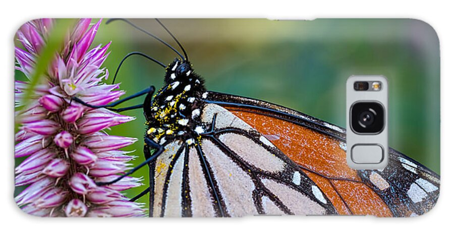 Butterfly Galaxy Case featuring the photograph Monarch Butterfly by Brad Boland