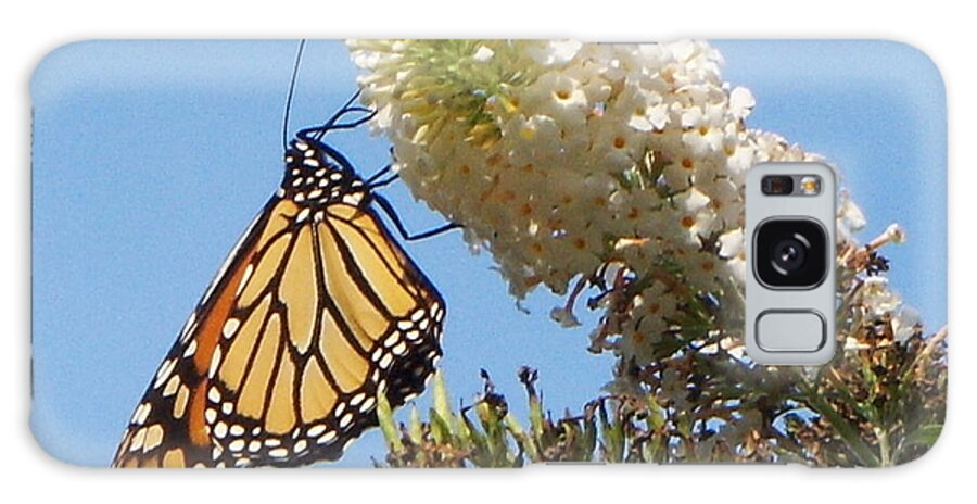 Butterfly Galaxy Case featuring the photograph Monarch Butterfly by CAC Graphics