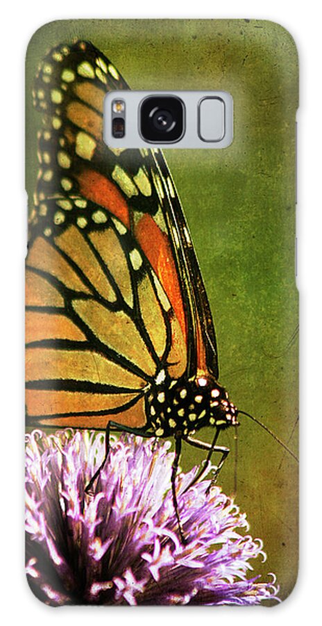 Monarch Butterfly Galaxy Case featuring the photograph Monarch Butterfly by Cindi Ressler