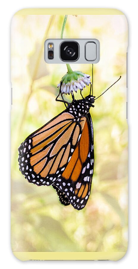 Monarch Butterfly Galaxy Case featuring the photograph Monarch Butterfly Hanging on Wildflower by Louise Lindsay