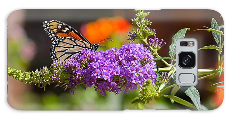 Monarch Galaxy S8 Case featuring the photograph Monarch Butterfly on the Butterfly bush by Liz Vernand