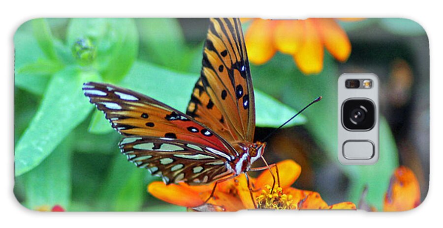 Butterfly Galaxy S8 Case featuring the photograph Monarch Butterfly Resting by Cynthia Guinn