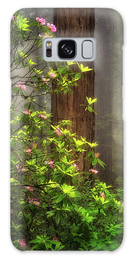 California Galaxy S8 Case featuring the photograph Moody Forest by Nicki Frates