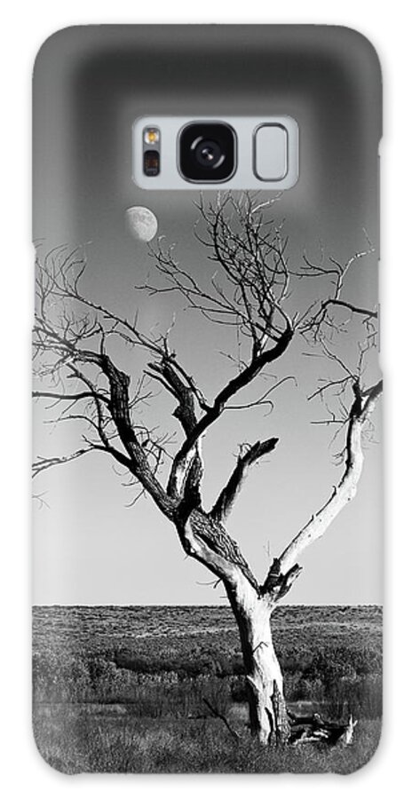 Landscapes Galaxy Case featuring the photograph Moon and Memory at Bosque del Apache N M by Mary Lee Dereske