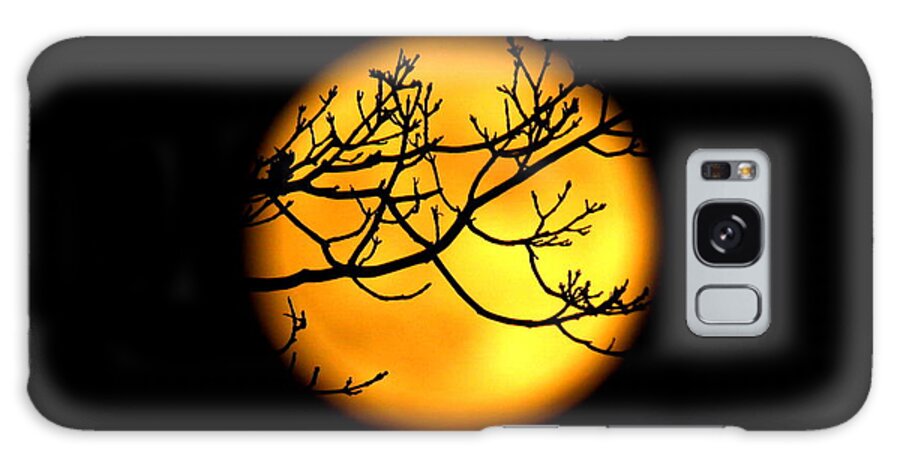 Moon Galaxy S8 Case featuring the photograph Moon in the Trees by Suzanne DeGeorge