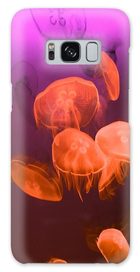 Moon Jellyfish Galaxy Case featuring the photograph Moon Jellyfish - Red and Purple by Marianna Mills