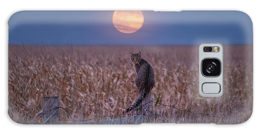 Moon Galaxy S8 Case featuring the photograph Moon Kitty by Aaron J Groen