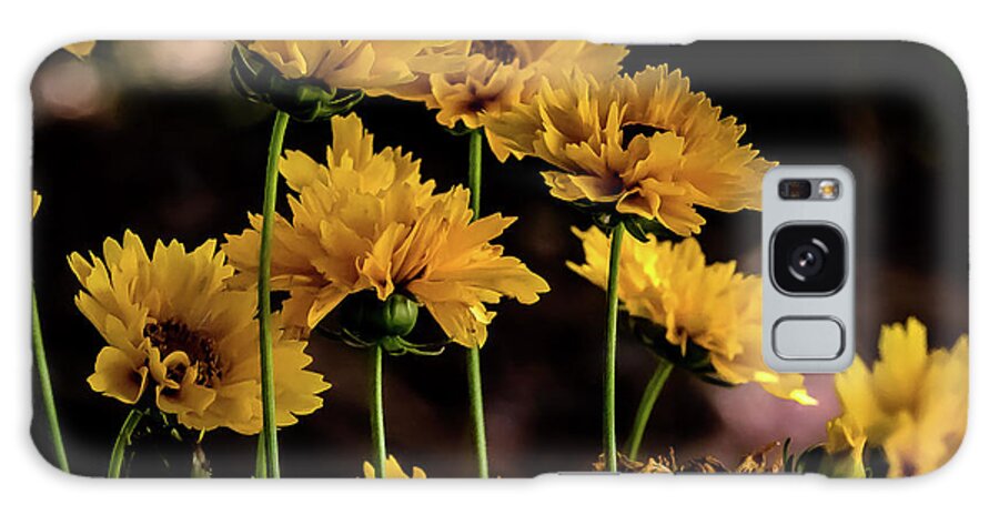 Flower Galaxy Case featuring the digital art Moonbeam Coreopsis by Ed Stines