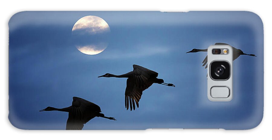 Sandhill Crane Galaxy Case featuring the photograph Moonlit Flight by Susan Rissi Tregoning