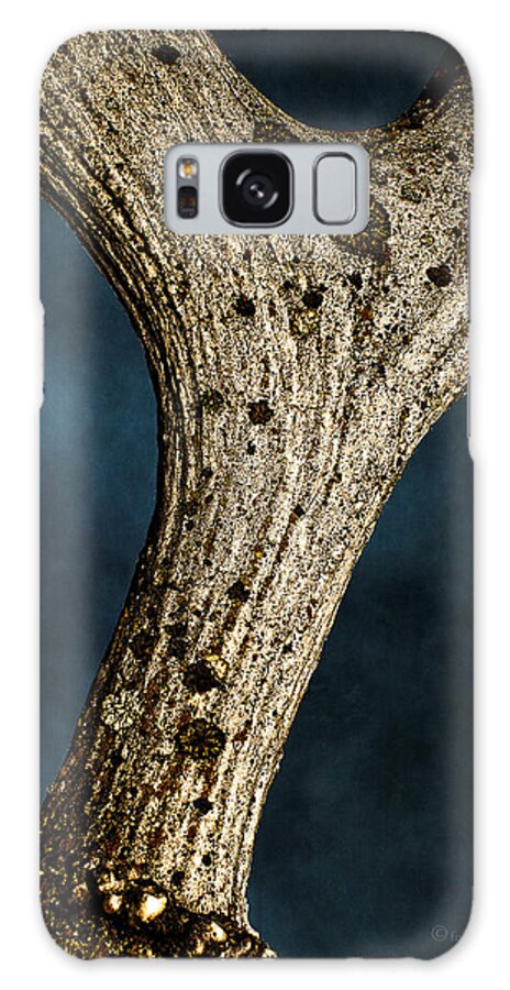 Moose Galaxy Case featuring the photograph Moose Horn Curves by Fred Denner