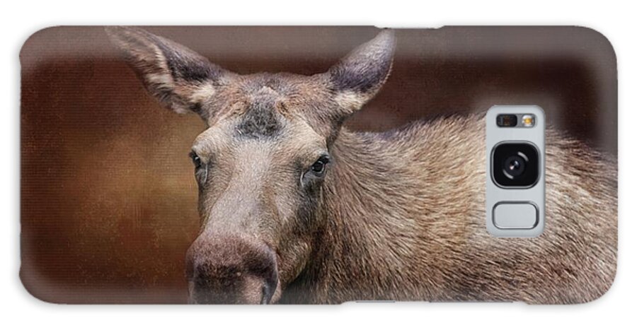 Moose Galaxy Case featuring the photograph Moose Portrait by Eva Lechner