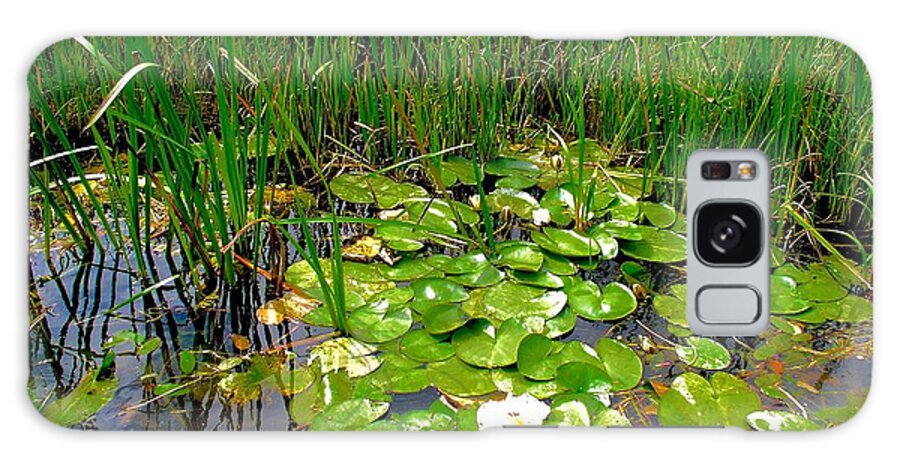 Lilly Galaxy Case featuring the photograph More Royal Canal Lilly Pads by Kenlynn Schroeder