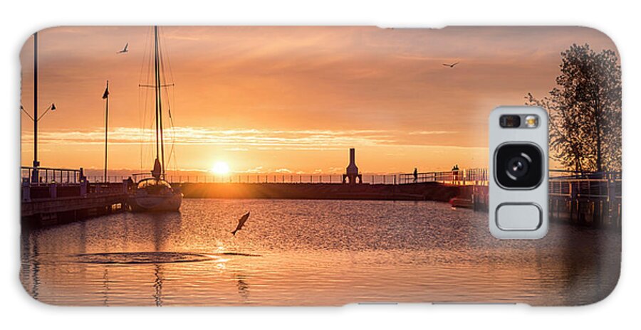 Marina Galaxy Case featuring the photograph Morning Catch by James Meyer