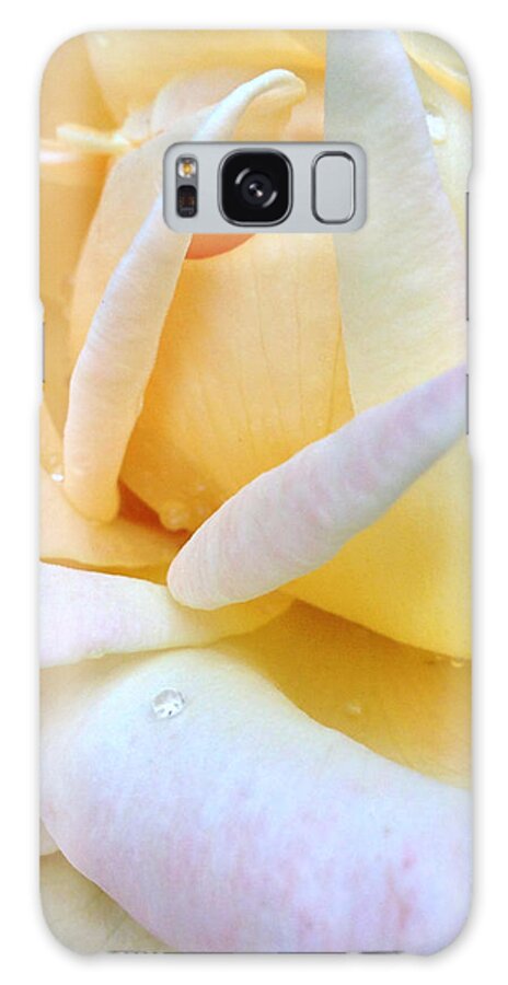 Morning Dew On A Pale Yellow Rose Galaxy Case featuring the photograph Morning Dew on a Pale Yellow Rose by Anna Porter