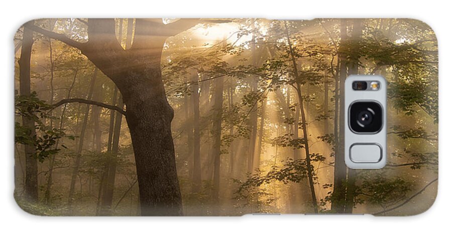 God Rays Galaxy Case featuring the photograph Morning God Rays by Ken Barrett