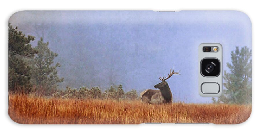 Morning Galaxy Case featuring the photograph Morning Mist by Donald J Gray