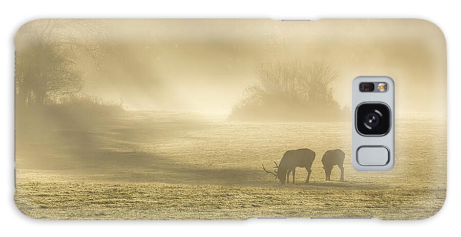 Elk Galaxy Case featuring the photograph Morning on the Meadows 0725 by Kristina Rinell