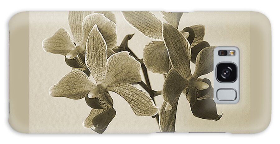 Orchid Galaxy S8 Case featuring the photograph Morning Orchid by Ben and Raisa Gertsberg