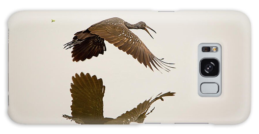 Limpkin Galaxy Case featuring the photograph Morning Reflection by Artful Imagery