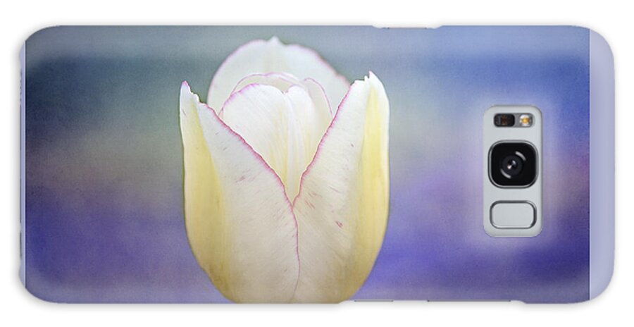 White Tulip Galaxy Case featuring the photograph Morning Star by Marina Kojukhova