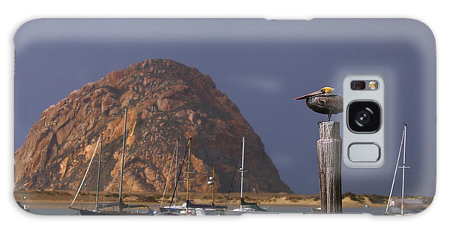 Pelican Galaxy Case featuring the photograph Morro Rock Guardian by Alison Salome