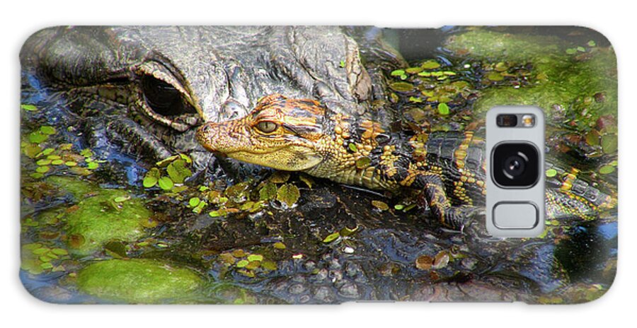 Alligator Galaxy Case featuring the photograph Mother And Baby by Mark Andrew Thomas