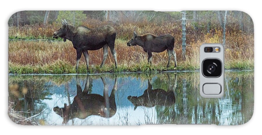 Two Moose Galaxy S8 Case featuring the photograph Mother and Baby Moose Reflection by Rebecca Margraf
