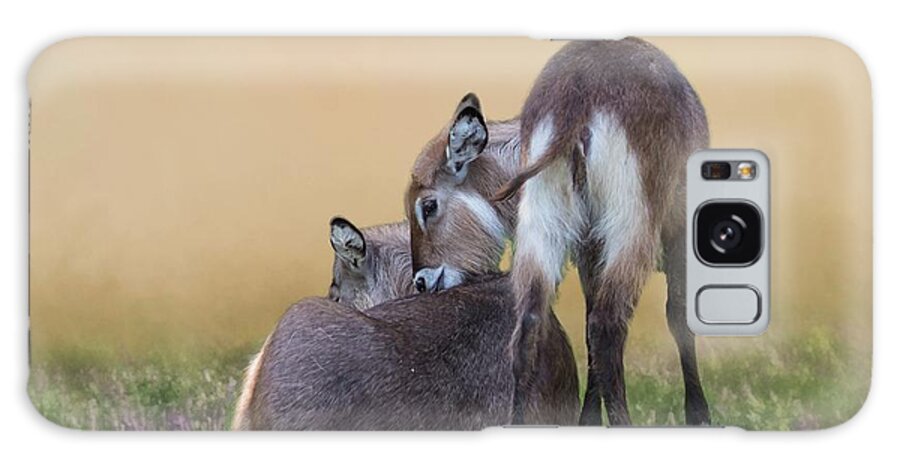 Waterbucks Galaxy Case featuring the photograph Mother and Child Waterbucks by Eva Lechner