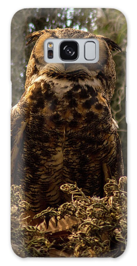 Owl Galaxy Case featuring the photograph Mother Owl Posing by Jane Axman