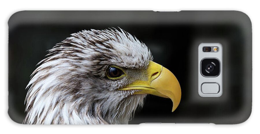 Bird Galaxy Case featuring the photograph Mottle by Andrea Silies