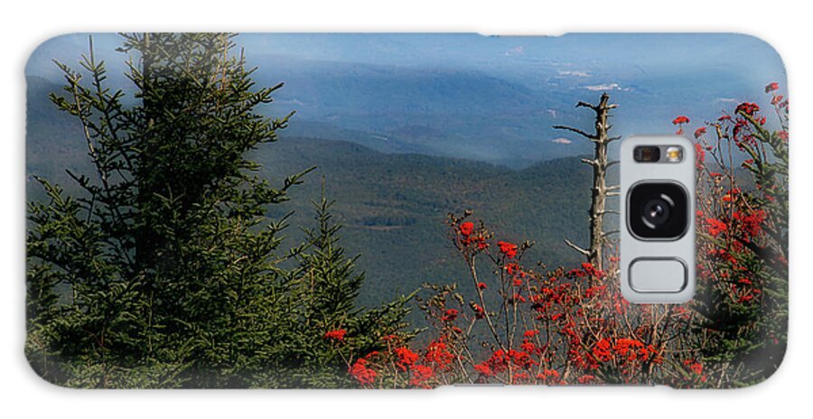  Galaxy Case featuring the photograph Mount Mitchell View by C Renee Martin