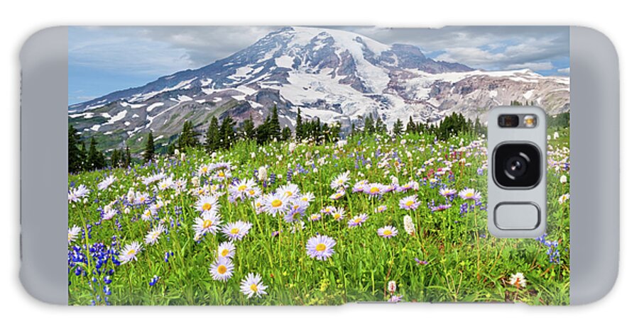 Alpine Galaxy Case featuring the photograph Mount Rainier and a Meadow of Aster by Jeff Goulden